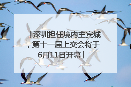 深圳担任境内主宾城，第十一届上交会将于6月11日开幕